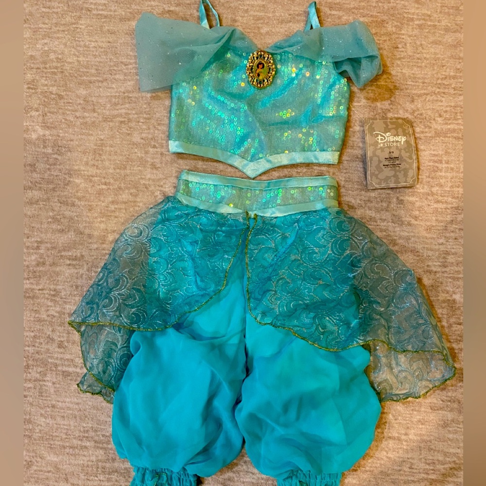 Disney Princess Jazmine costume. Size 2/3 years. New, with tag.